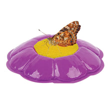 Butterfly Pavilion® Growing Kit with Voucher