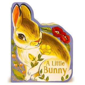 A Little Bunny, Board Book