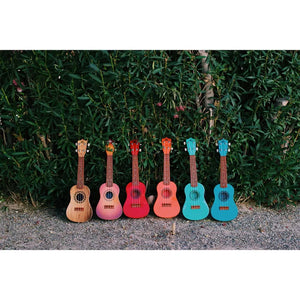 KaKo’o Ukuleles