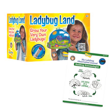 LADYBUG LAND WITH VOUCHER