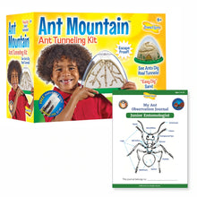 Ant Mountain With Voucher For Live Ants