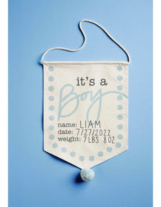 Baby Boy Canvas Sign