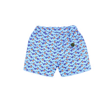 Shades Swim Trunk