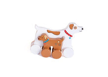 Mommy and baby push toy
