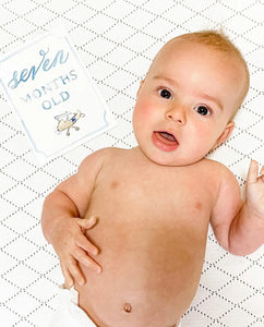 Blue Month by Month Baby Cards