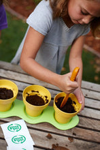 Indoor Gardening Kit